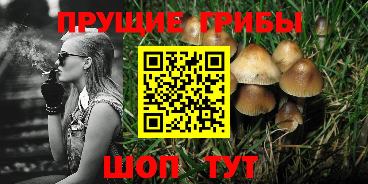 Галлюциногенные грибы Magic Shrooms Шебекино