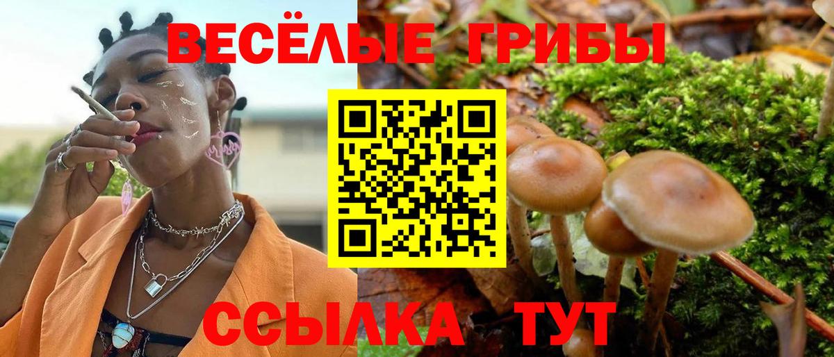 где продают наркотики  Вход с VPN  Шебекино  Псилоцибиновые грибы мухоморы  Галлюциногенные грибы Psilocybe 